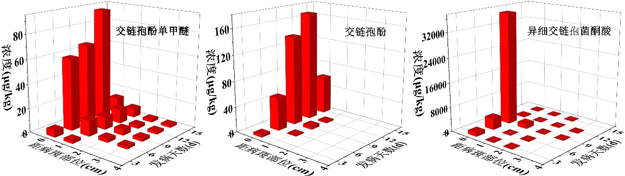 圖片6.png 圖片6.png