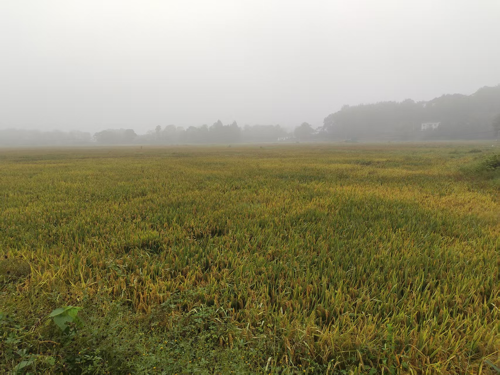 16d1eec22e3acbe8525cf7dce94e4296.jpg 16d1eec22e3acbe8525cf7dce94e4296.jpg